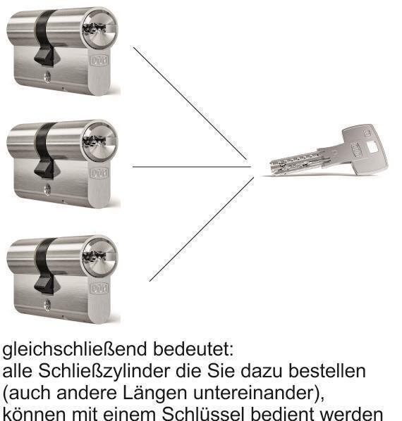 Schließzylinder DOM ix Twido Doppelprofilzylinder mit Bohr- und Ziehschutz – Ansicht 6