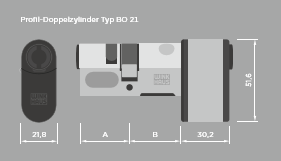 Winkhaus blueCompact Doppelprofil BO 21 beidseitig kontrolliert – Produktdetail